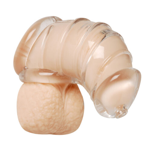 Detained Soft Body Chastity Cage